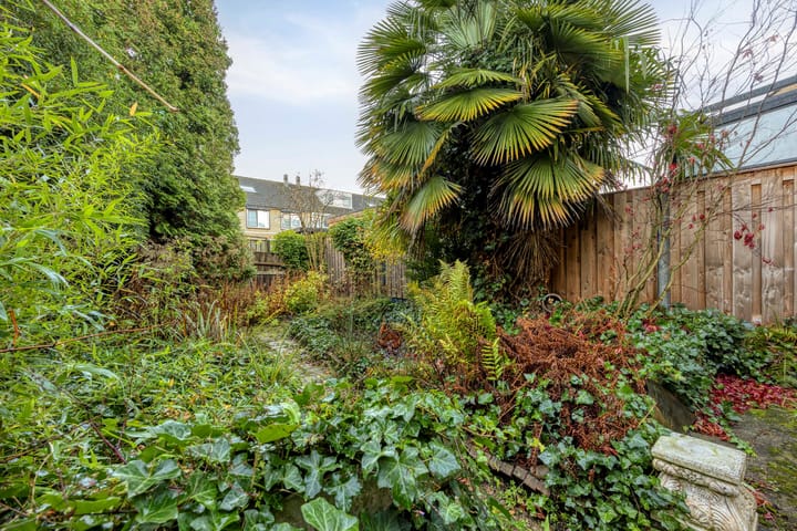 Photo 17 of Dokter Schöyerstraat 91