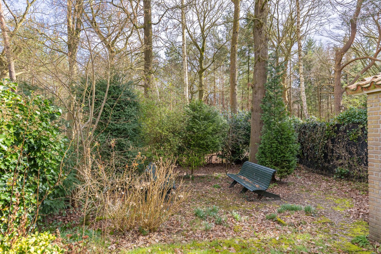 Foto 35 van Parklaan 54