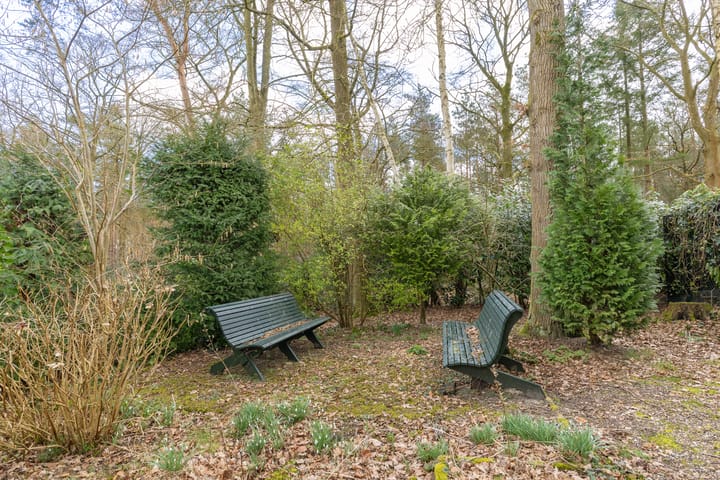 Foto 36 van Parklaan 54