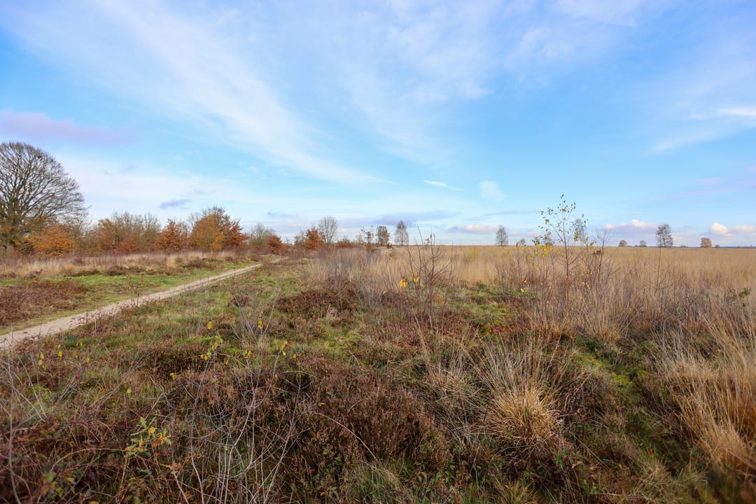 Photo 32 of Wagenaarlaan 46
