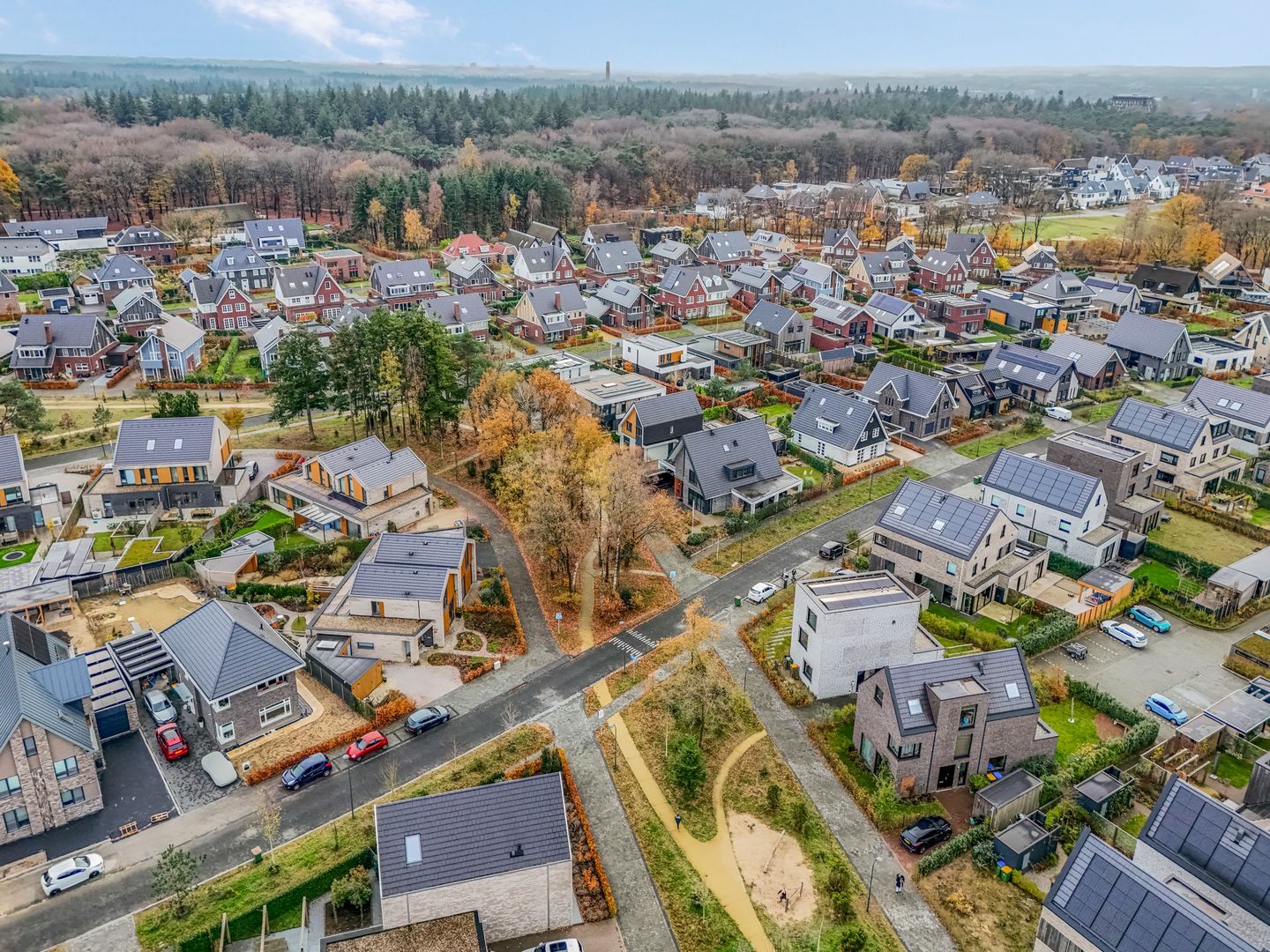 Foto 49 van Gebroeders van Steenbergenplantsoen 21