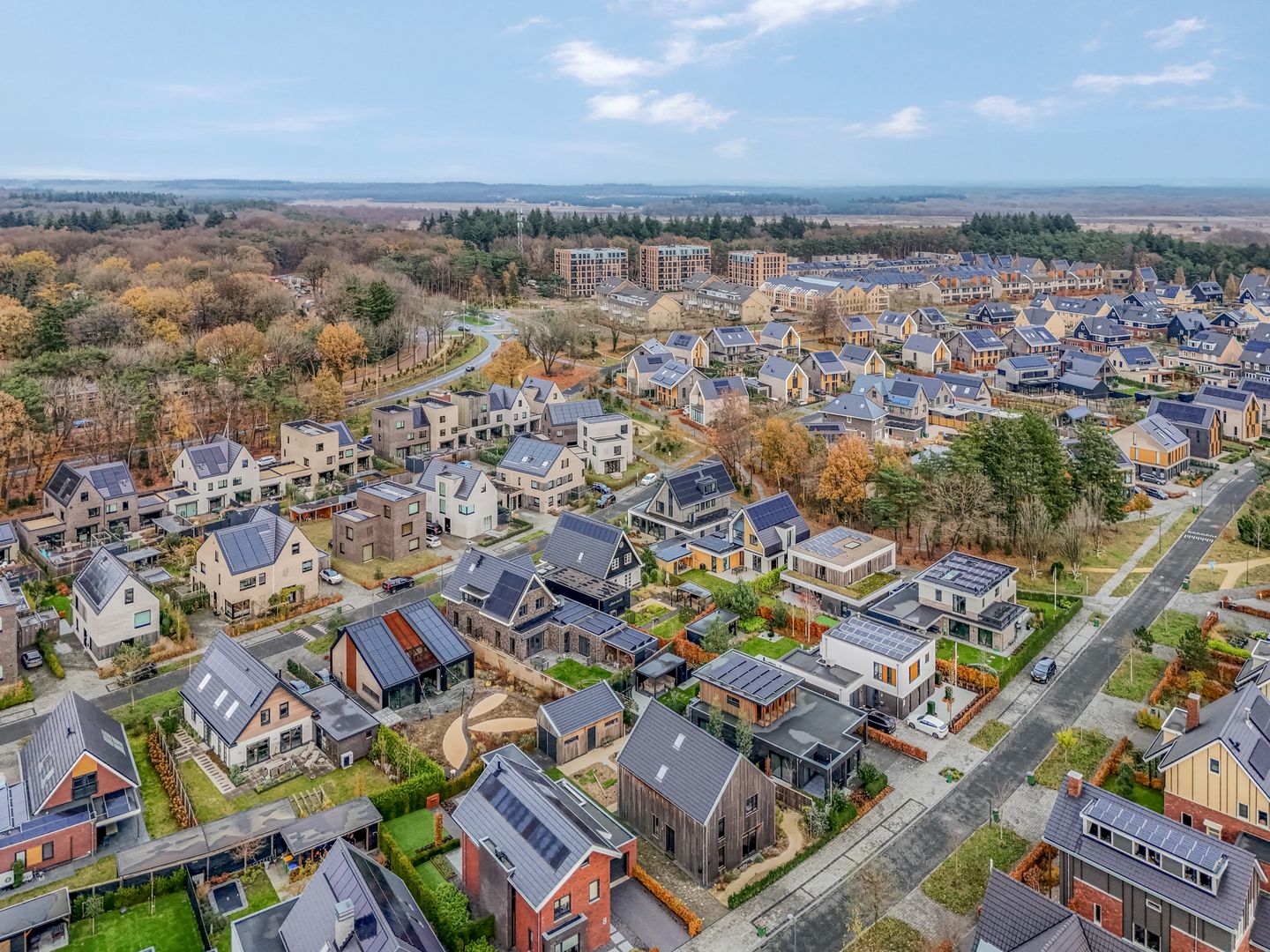 Foto 50 van Gebroeders van Steenbergenplantsoen 21