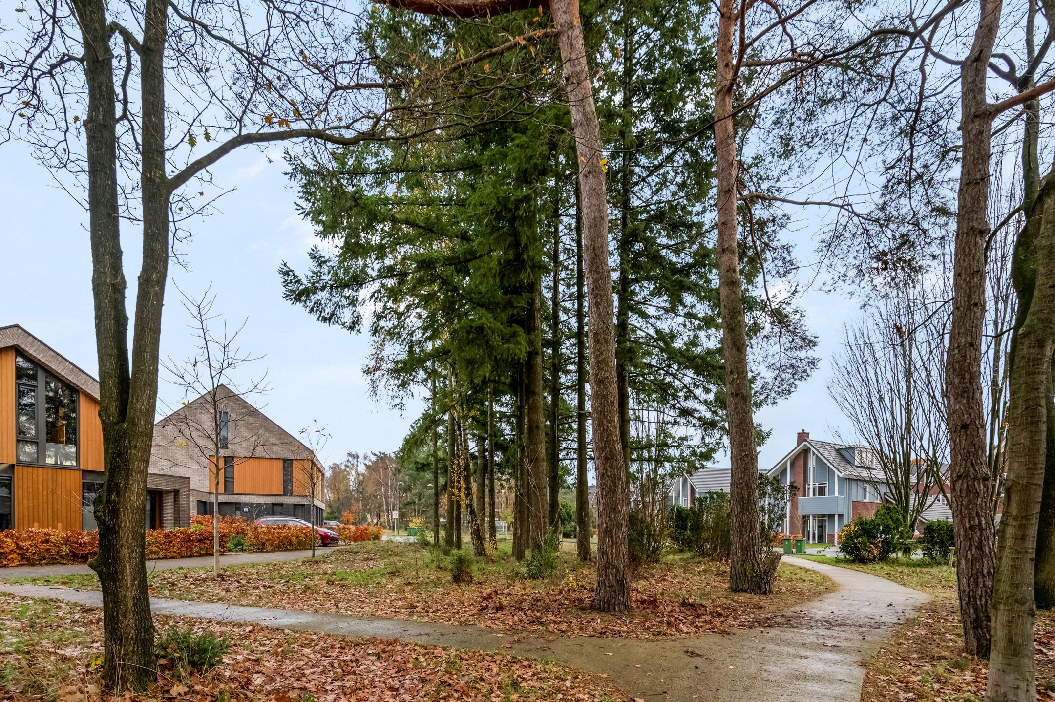 Foto 51 van Gebroeders van Steenbergenplantsoen 21