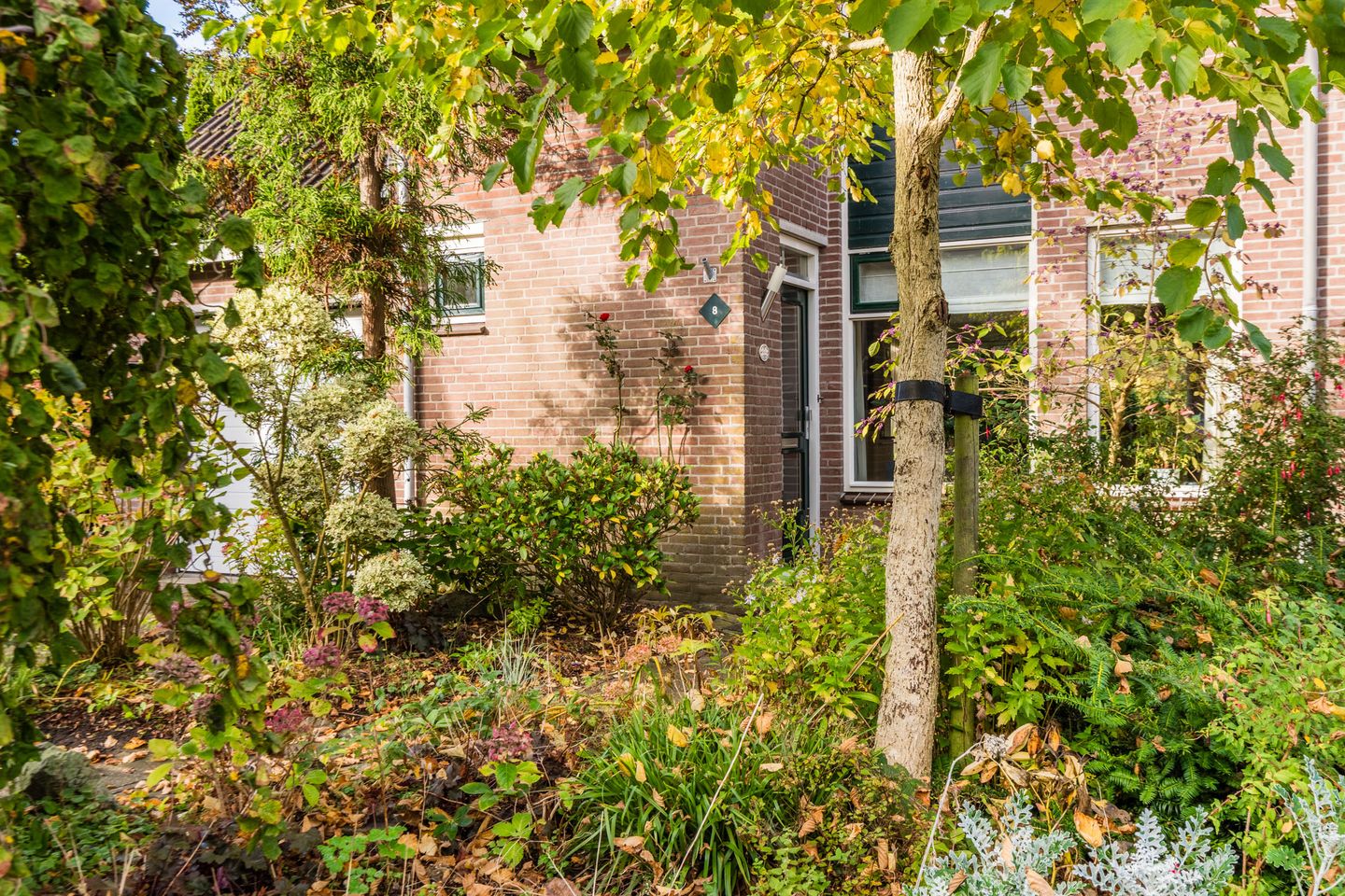 Foto 5 van Rietgors 8