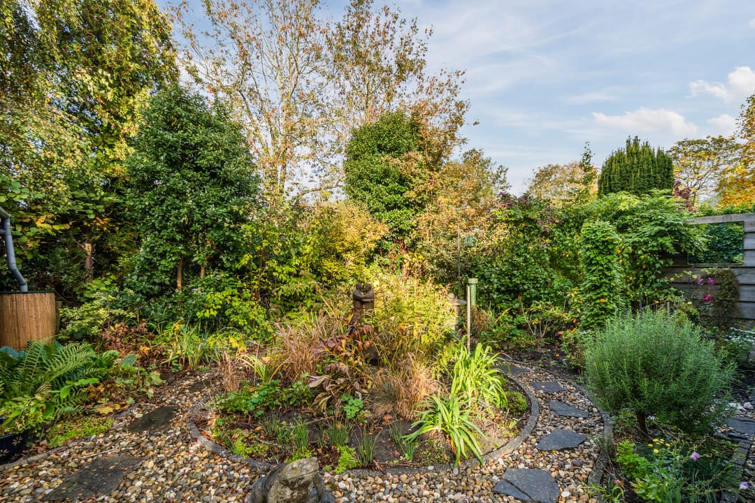 Foto 32 van Rietgors 8