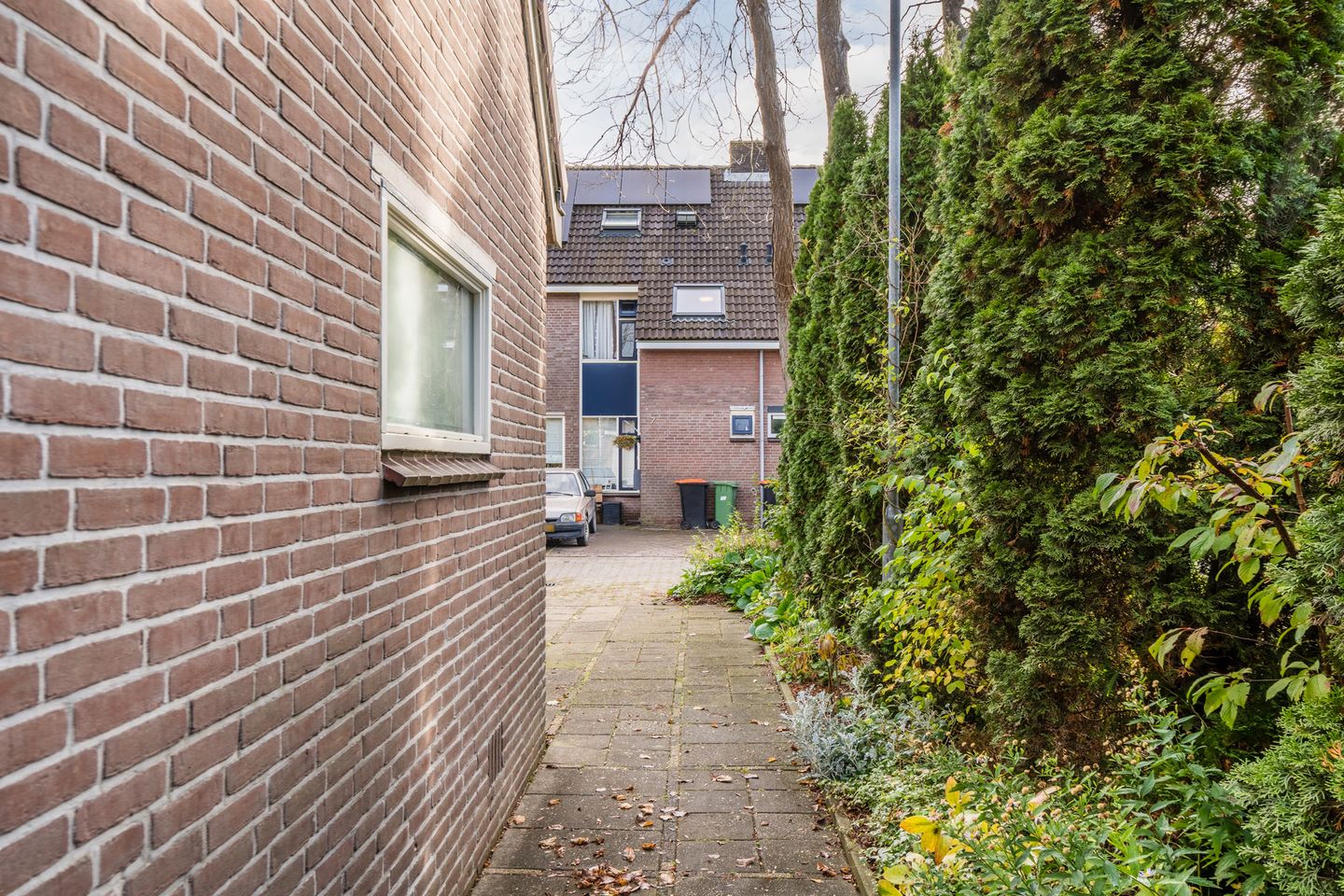 Foto 35 van Rietgors 8