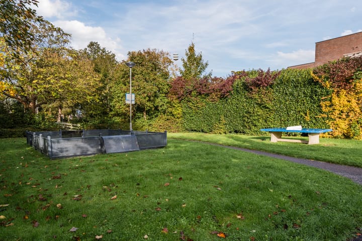 Foto 37 van Rietgors 8