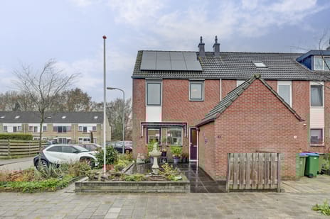 undefined main image