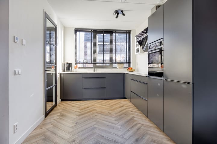 Photo 6 of Meerval 12