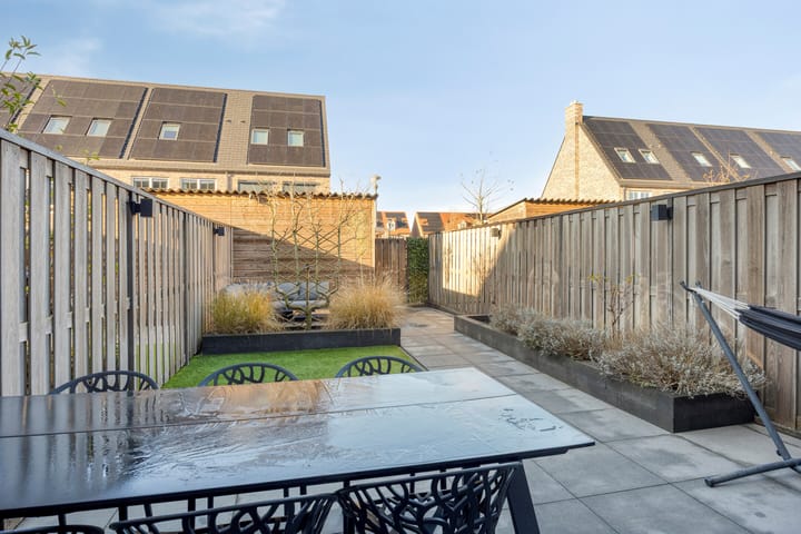 Photo 11 of Meerval 12