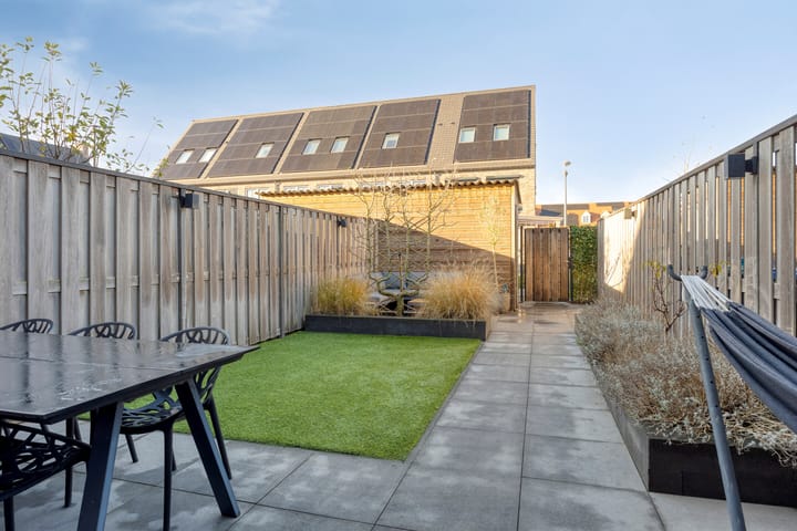 Photo 12 of Meerval 12