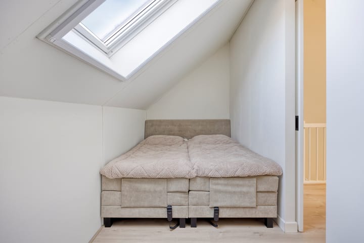 Photo 27 of Meerval 12