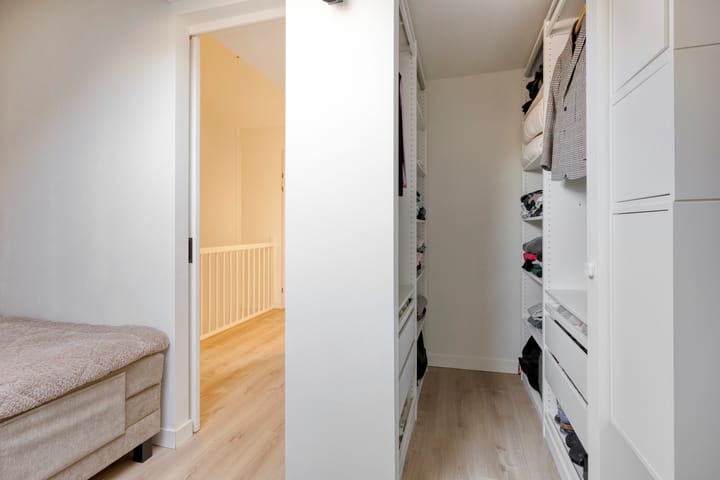 Photo 28 of Meerval 12