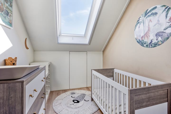 Photo 29 of Meerval 12