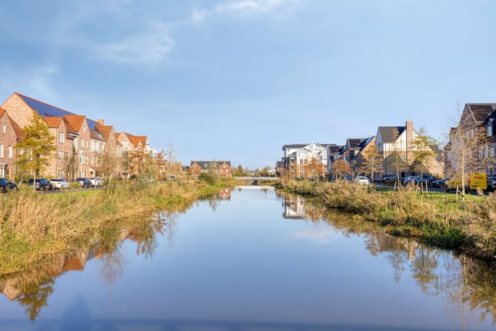 Photo 35 of Meerval 12