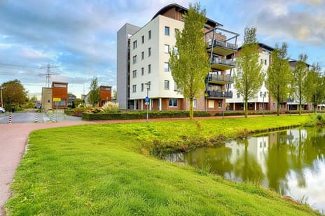 Lobeliuslaan thumbnail