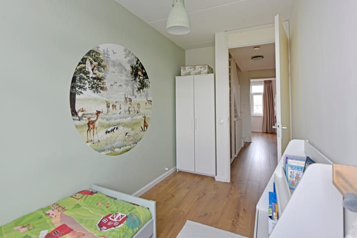 Photo 21 of Liguster 18