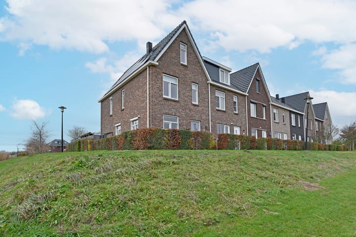 Photo 31 of Liguster 18