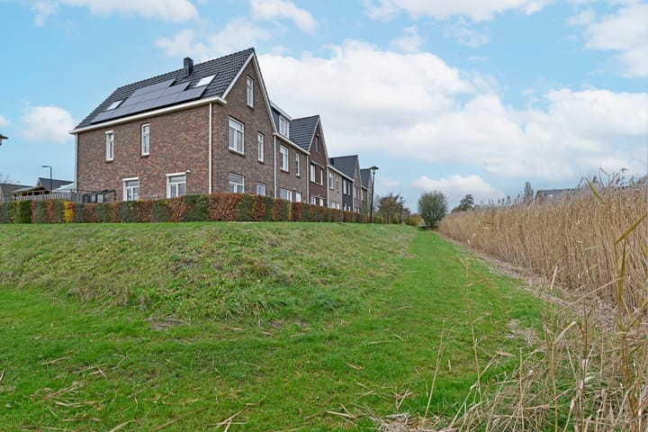 Photo 32 of Liguster 18