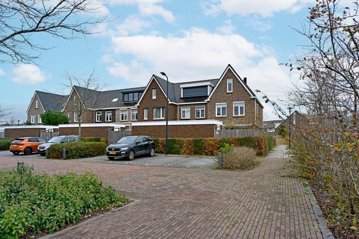 Photo 33 of Liguster 18