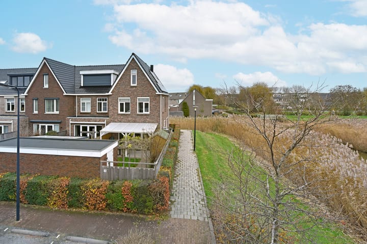 Photo 34 of Liguster 18