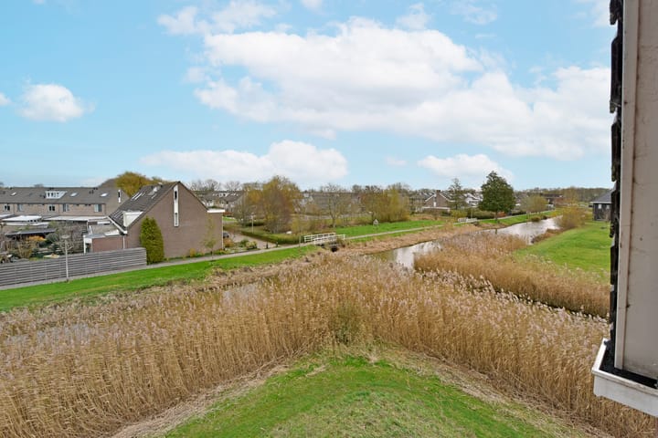 Photo 35 of Liguster 18