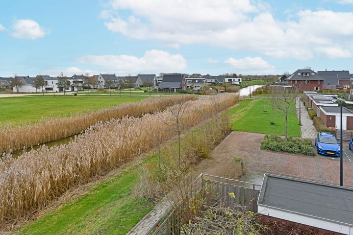 Photo 36 of Liguster 18