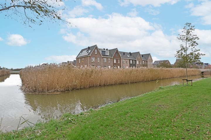 Photo 37 of Liguster 18