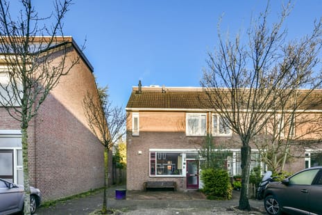 undefined main image