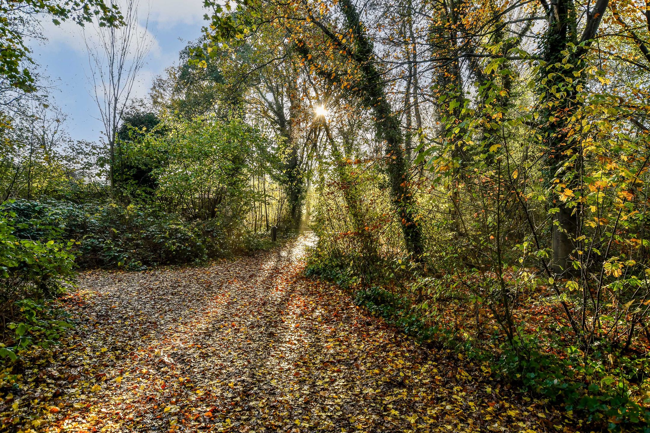 Foto 30 van Haverstede 15