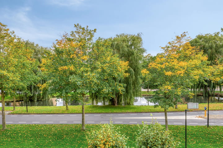 Photo 25 of Kuyerpad 4