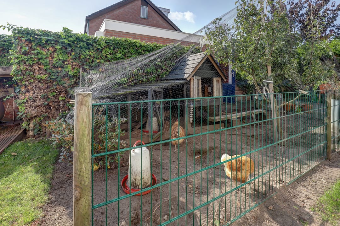 Foto 46 van Elzenstraat 2