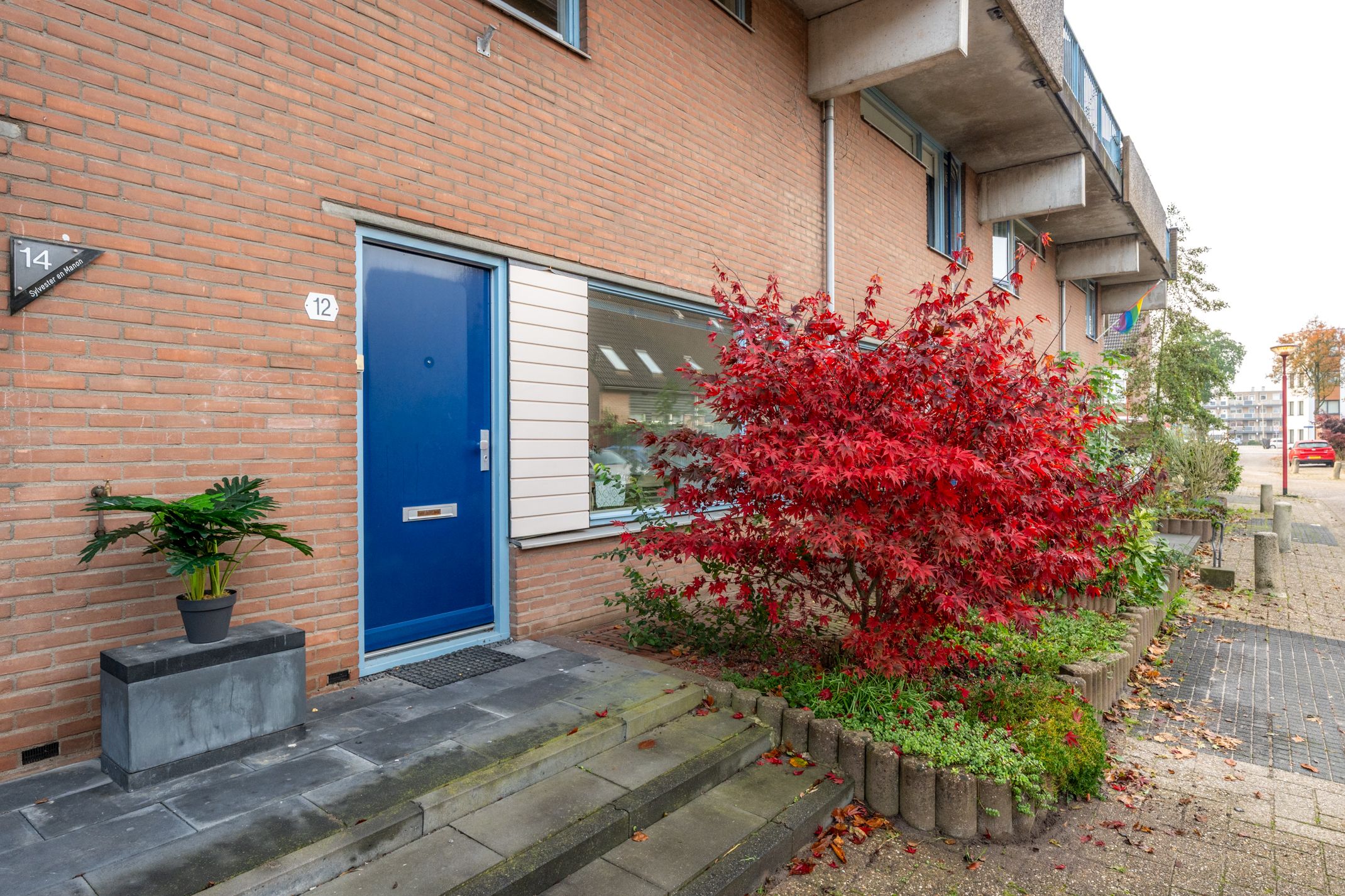 Photo 39 of Zwaardenburg 12