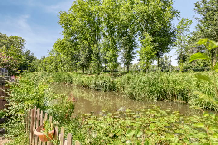 Foto 28 van Haya van Someren-Downerstraat 42