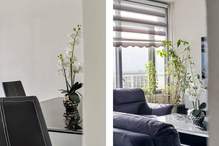 Foto 19 van Herman Costerstraat 44