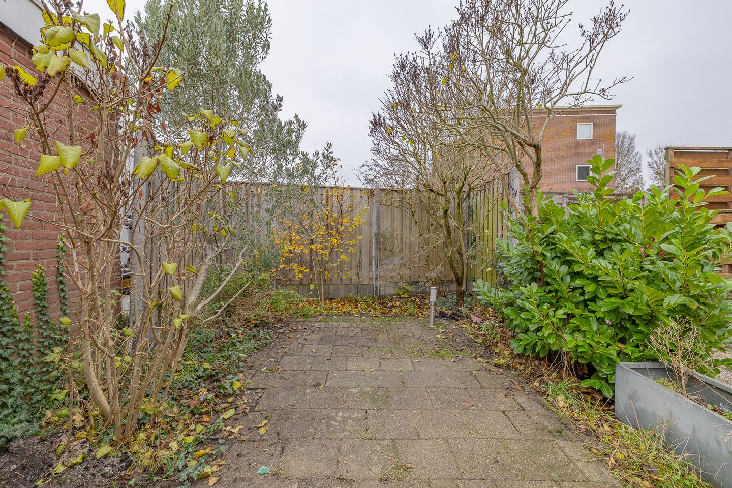 Foto 40 van Singel 35