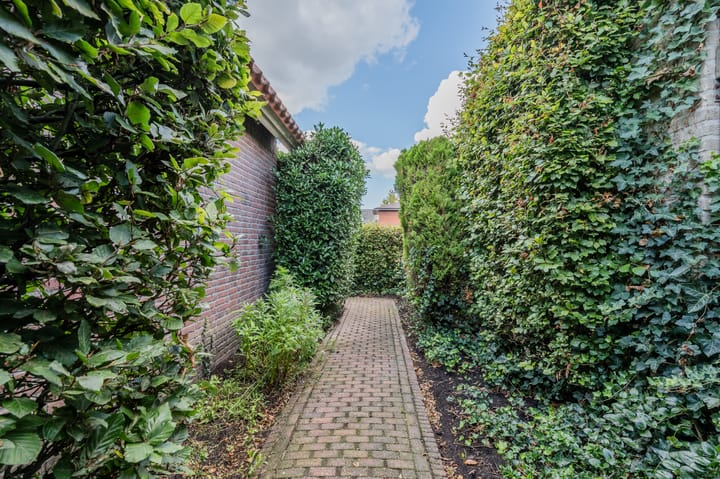 Photo 59 of Jagershei 17