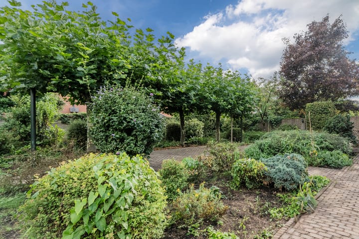 Photo 68 of Jagershei 17