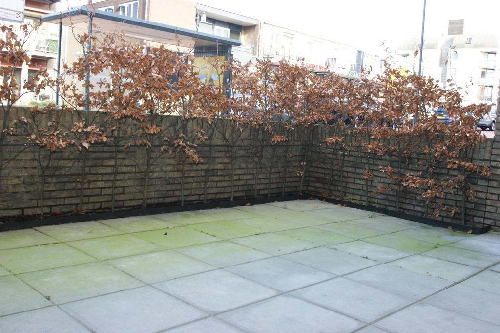 Foto 7 van Dennenlaan 16-B