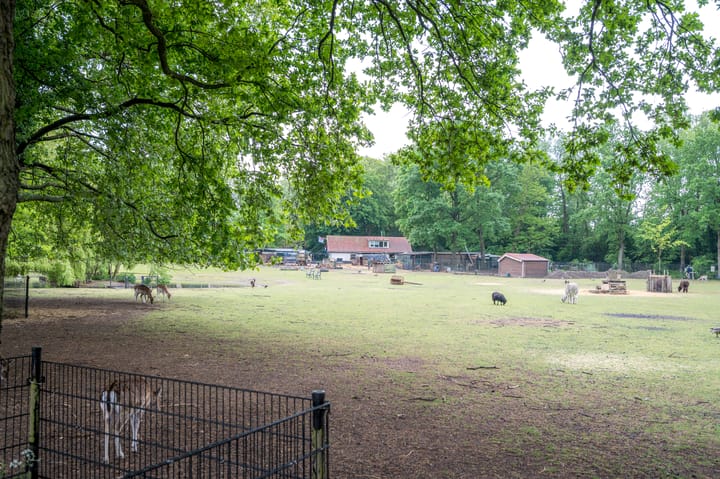 Foto 35 van Sweder van Zuylenweg 6