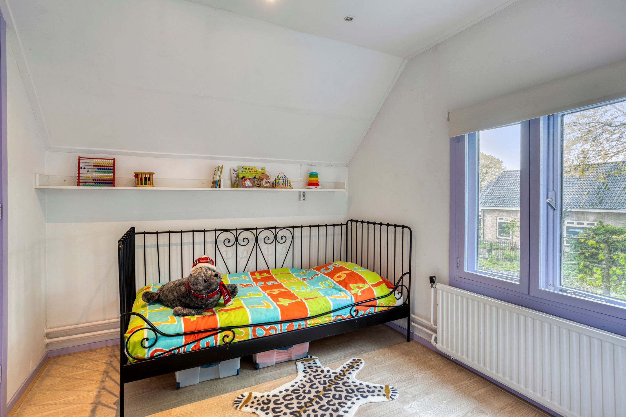 Foto 30 van Pastoor Boelensstraat 10