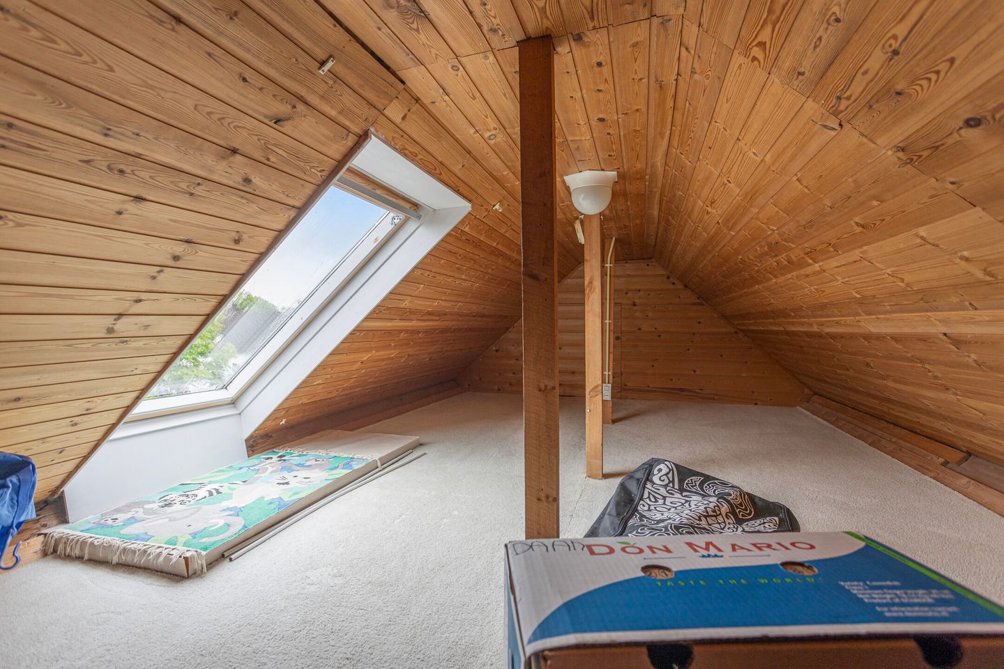 Foto 35 van Pastoor Boelensstraat 10