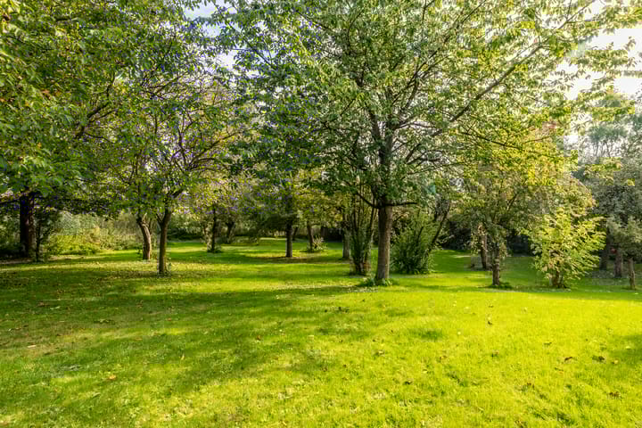 Photo 51 of Schans 1