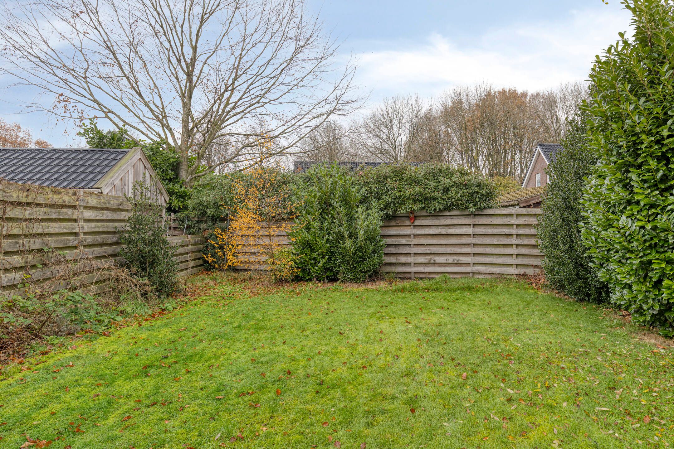 Photo 33 of Harm Tiesingstraat 49