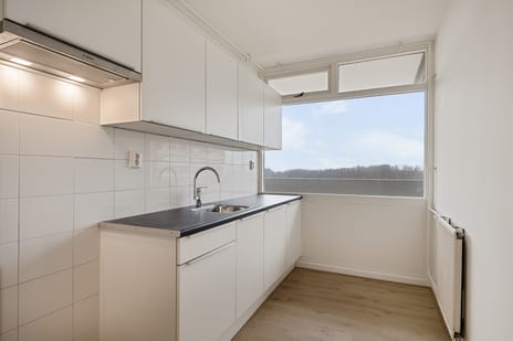 Tjaarda 220 secondary image