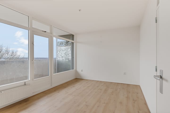 Photo 21 of Tjaarda 220