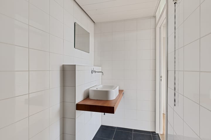 Photo 23 of Tjaarda 220