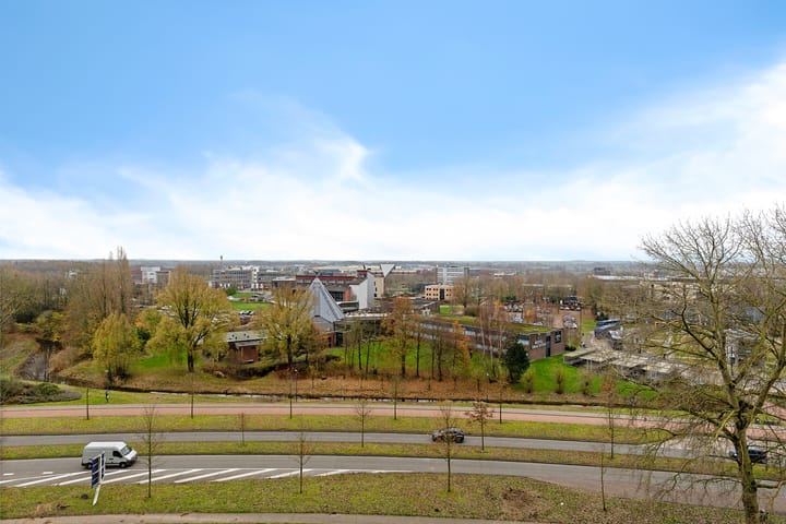 Photo 26 of Tjaarda 220