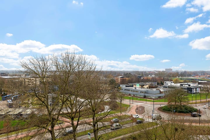 Photo 27 of Tjaarda 220