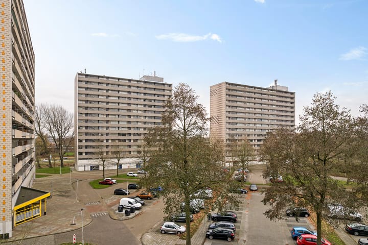 Photo 29 of Tjaarda 220